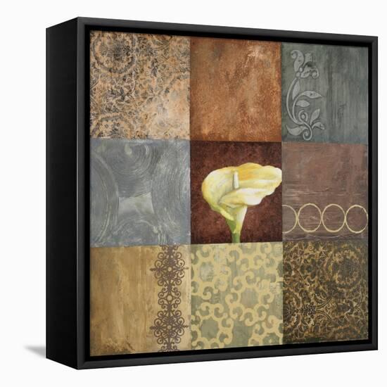 Lily Expression I-Michael Marcon-Framed Stretched Canvas