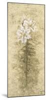 Lily Fair-B^ J^ Zhang-Mounted Art Print