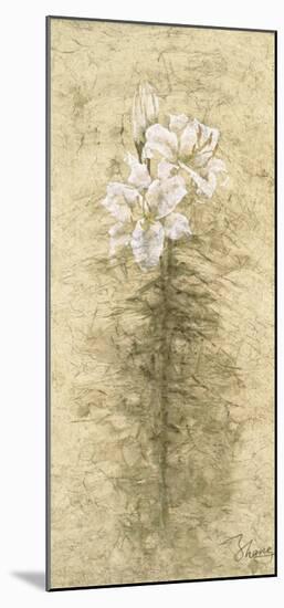 Lily Fair-B^ J^ Zhang-Mounted Art Print