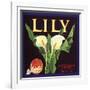 Lily Fruit Label-null-Framed Giclee Print