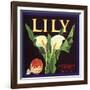 Lily Fruit Label-null-Framed Giclee Print