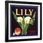 Lily Fruit Label-null-Framed Giclee Print