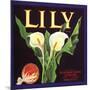 Lily Fruit Label-null-Mounted Giclee Print