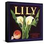 Lily Fruit Label-null-Framed Stretched Canvas