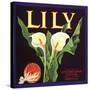 Lily Fruit Label-null-Stretched Canvas