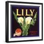 Lily Fruit Label-null-Framed Giclee Print