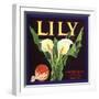 Lily Fruit Label-null-Framed Giclee Print