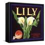 Lily Fruit Label-null-Framed Stretched Canvas