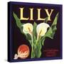 Lily Fruit Label-null-Stretched Canvas