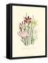 Lily Garden I-Jane W^ Loudon-Framed Stretched Canvas