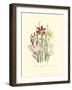 Lily Garden I-Jane W^ Loudon-Framed Art Print