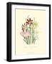 Lily Garden I-Jane W^ Loudon-Framed Art Print