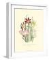 Lily Garden I-Jane W^ Loudon-Framed Art Print