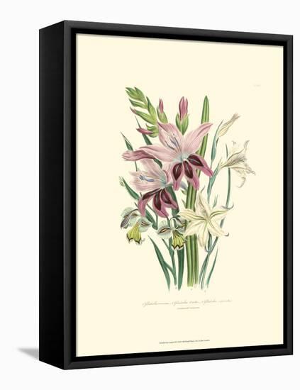 Lily Garden II-Jane W^ Loudon-Framed Stretched Canvas