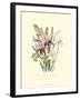 Lily Garden II-Jane W^ Loudon-Framed Art Print