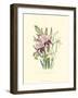 Lily Garden II-Jane W^ Loudon-Framed Art Print