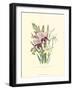 Lily Garden II-Jane W^ Loudon-Framed Art Print