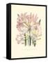 Lily Garden IV-Jane W^ Loudon-Framed Stretched Canvas