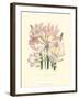 Lily Garden IV-Jane W^ Loudon-Framed Art Print