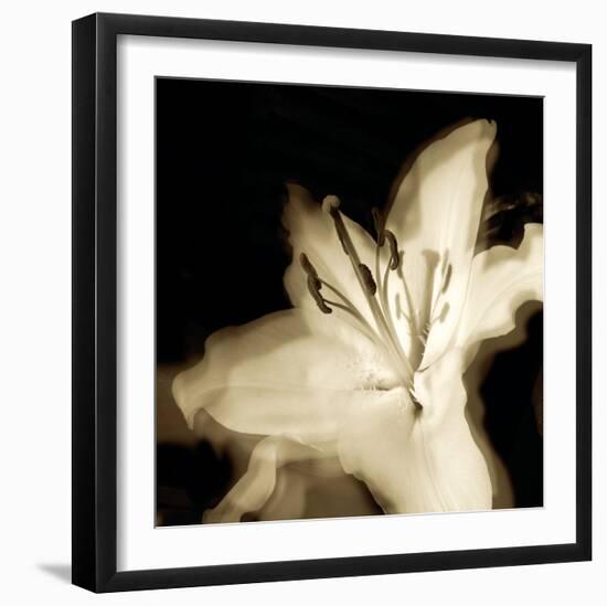 Lily Glow I-Malcolm Sanders-Framed Giclee Print