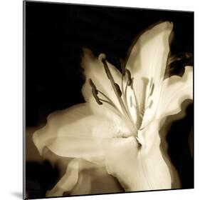 Lily Glow I-Malcolm Sanders-Mounted Giclee Print