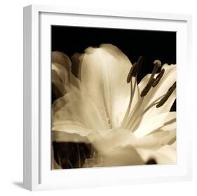 Lily Glow III-Malcolm Sanders-Framed Giclee Print