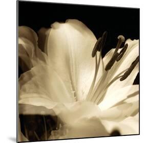 Lily Glow III-Malcolm Sanders-Mounted Giclee Print