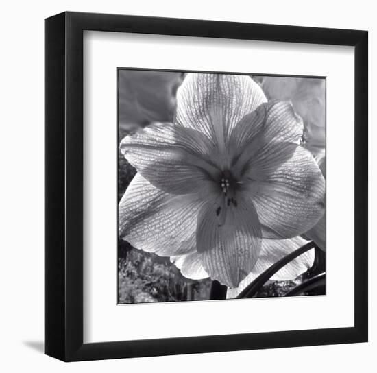 Lily Grace-Richard Sutton-Framed Art Print