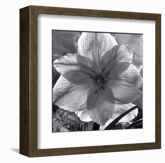 Lily Grace-Richard Sutton-Framed Art Print