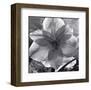 Lily Grace-Richard Sutton-Framed Art Print