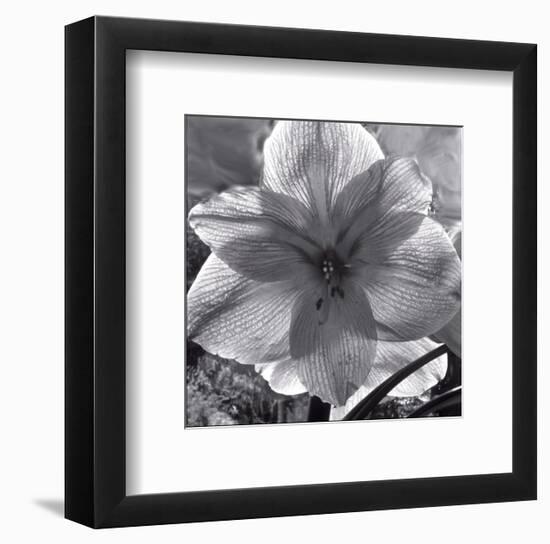 Lily Grace-Richard Sutton-Framed Art Print