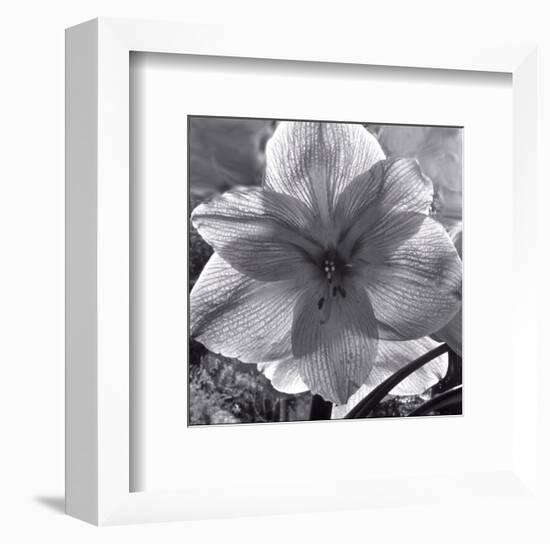 Lily Grace-Richard Sutton-Framed Art Print