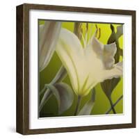 Lily Green-Jan McLaughlin-Framed Art Print