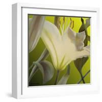 Lily Green-Jan McLaughlin-Framed Art Print