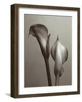 Lily I-Bill Philip-Framed Giclee Print