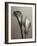 Lily I-Bill Philip-Framed Giclee Print