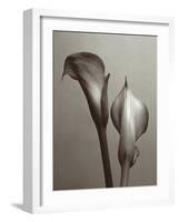 Lily I-Bill Philip-Framed Giclee Print