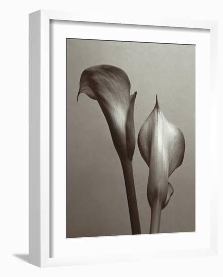 Lily I-Bill Philip-Framed Giclee Print