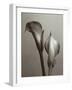 Lily I-Bill Philip-Framed Giclee Print