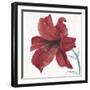 Lily II-Emma Forrester-Framed Giclee Print