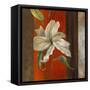 Lily in Bloom I-Lanie Loreth-Framed Stretched Canvas