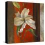 Lily in Bloom I-Lanie Loreth-Stretched Canvas