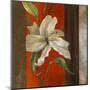 Lily in Bloom I-Lanie Loreth-Mounted Art Print