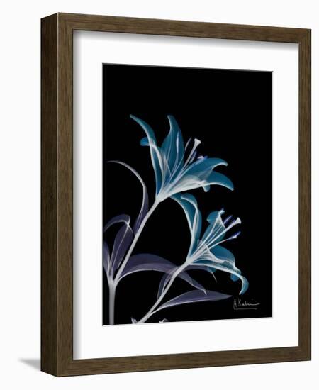 Lily L145-Albert Koetsier-Framed Premium Giclee Print