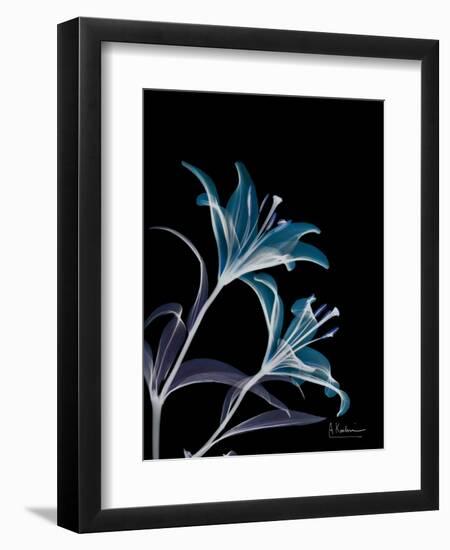 Lily L145-Albert Koetsier-Framed Premium Giclee Print