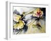 Lily Leaves Drifting-Mary Smith-Framed Giclee Print