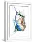 White Frame