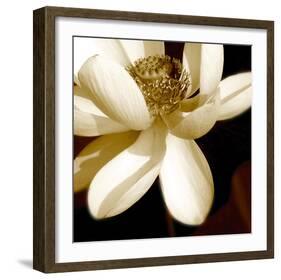 Lily Light II-Malcolm Sanders-Framed Giclee Print