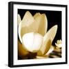 Lily Light III-Malcolm Sanders-Framed Giclee Print