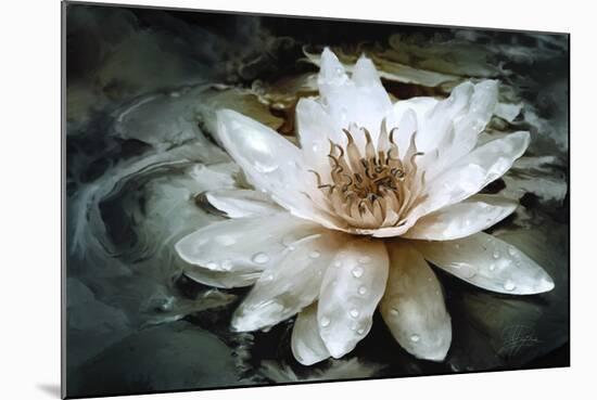 Lily Light-Joel Christopher Payne-Mounted Giclee Print